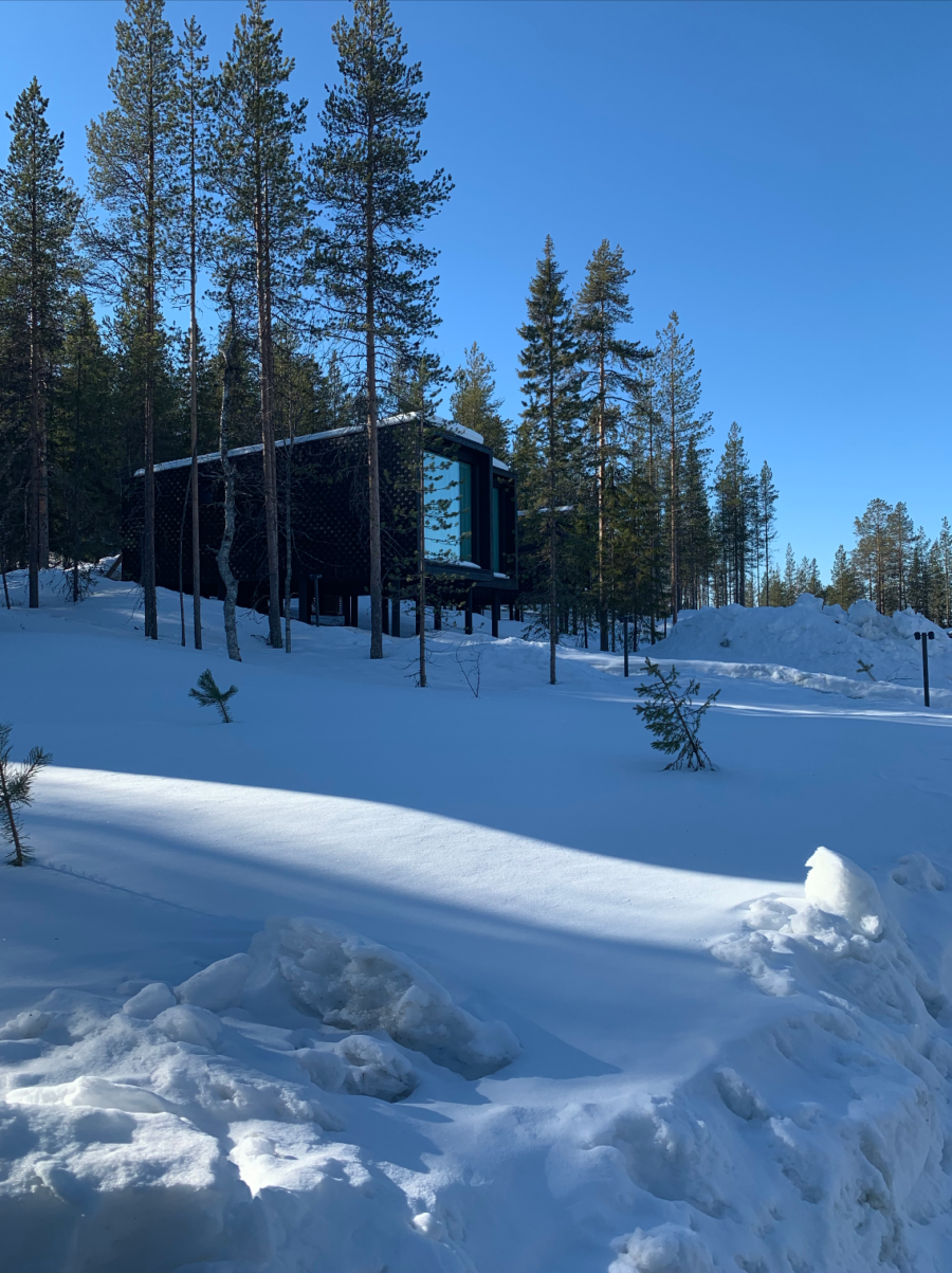 Arctic TreeHouse Hotel in Finland