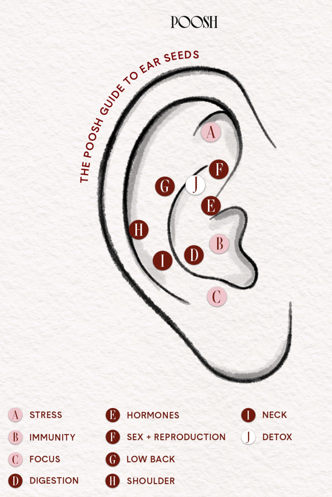 The Poosh Guide to Ear Seeds - Poosh