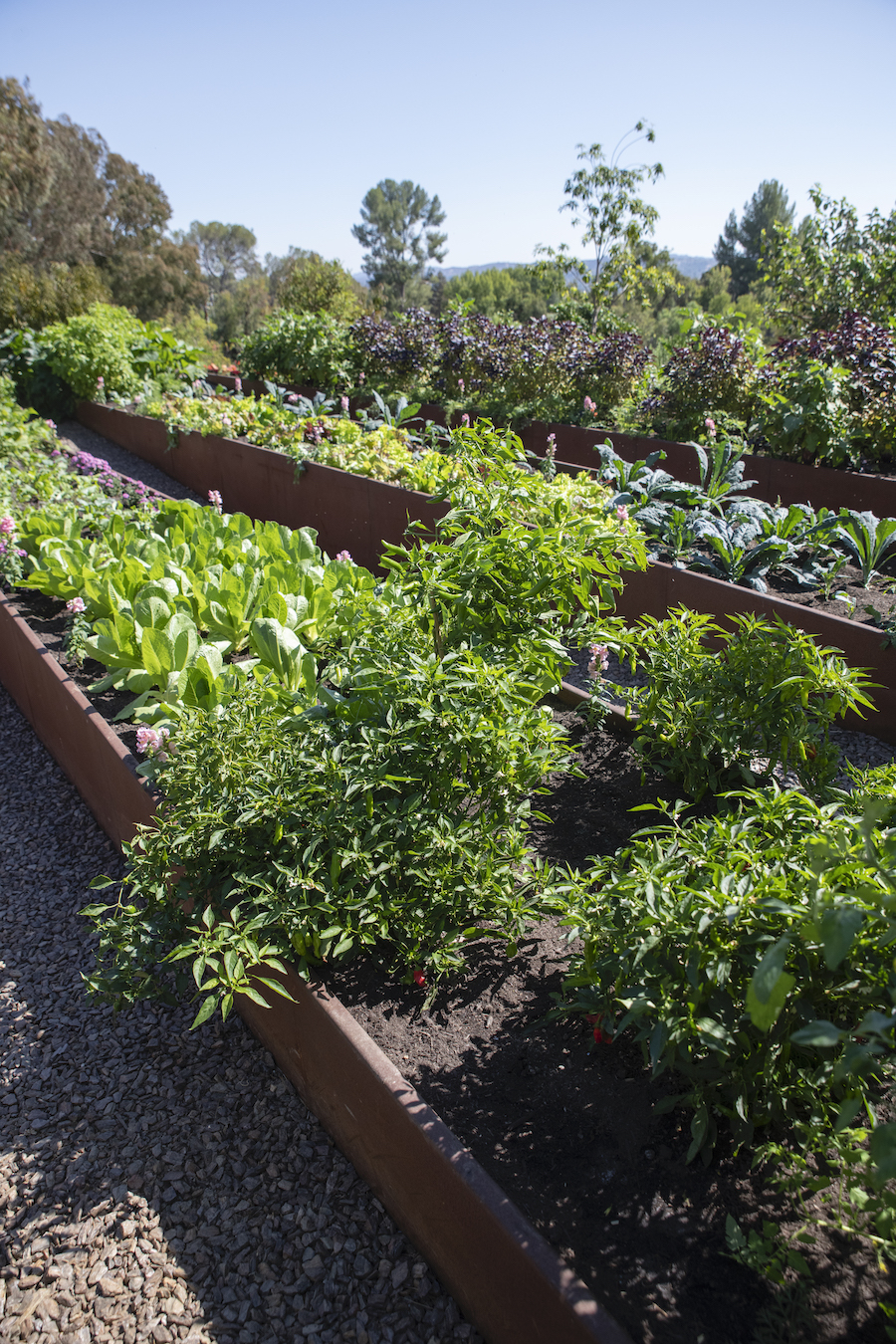 Kim Kardashian&#8217;s home garden plant bed