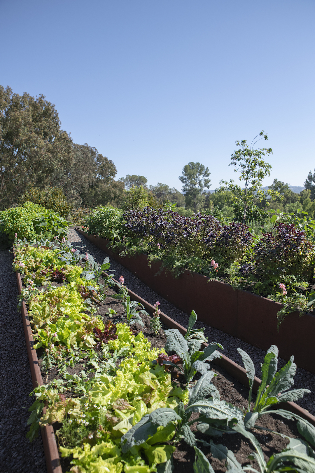 Kim Kardashian&#8217;s home garden plant bed