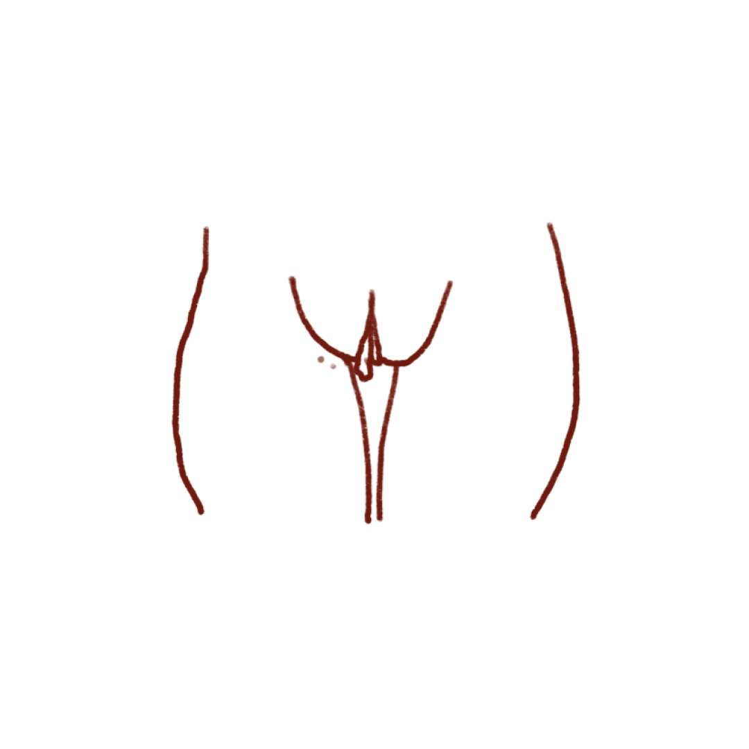 Assymetical Inner Labia