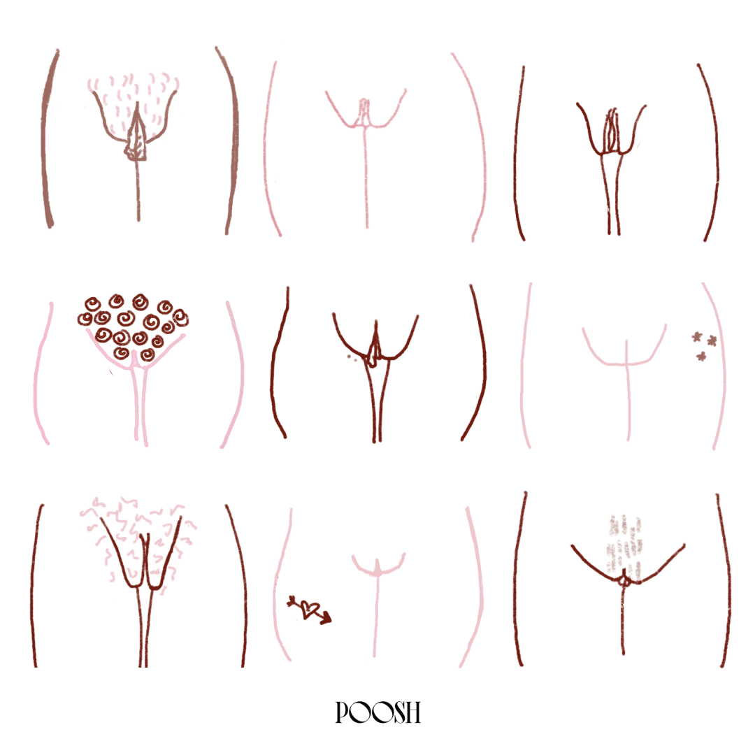 Different types of vagina pics