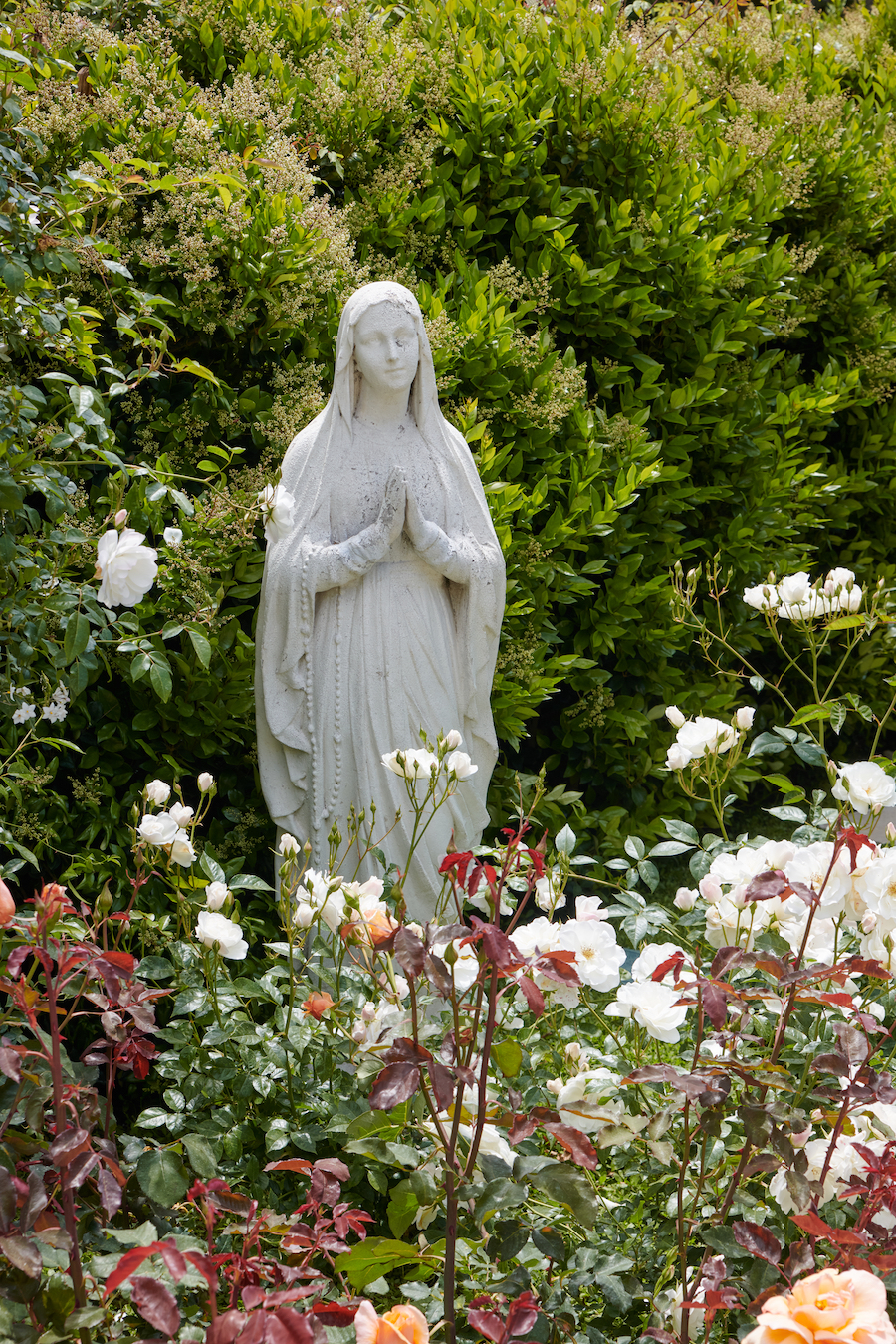 praying mary statue in the middle of flower garden