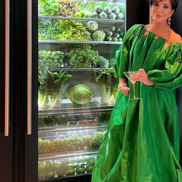 Under $20: Clever Fridge Organizers Inspired by Kris Jenner
