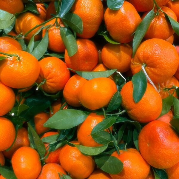 Goes to article Ingredient Spotlight: Vitamin C