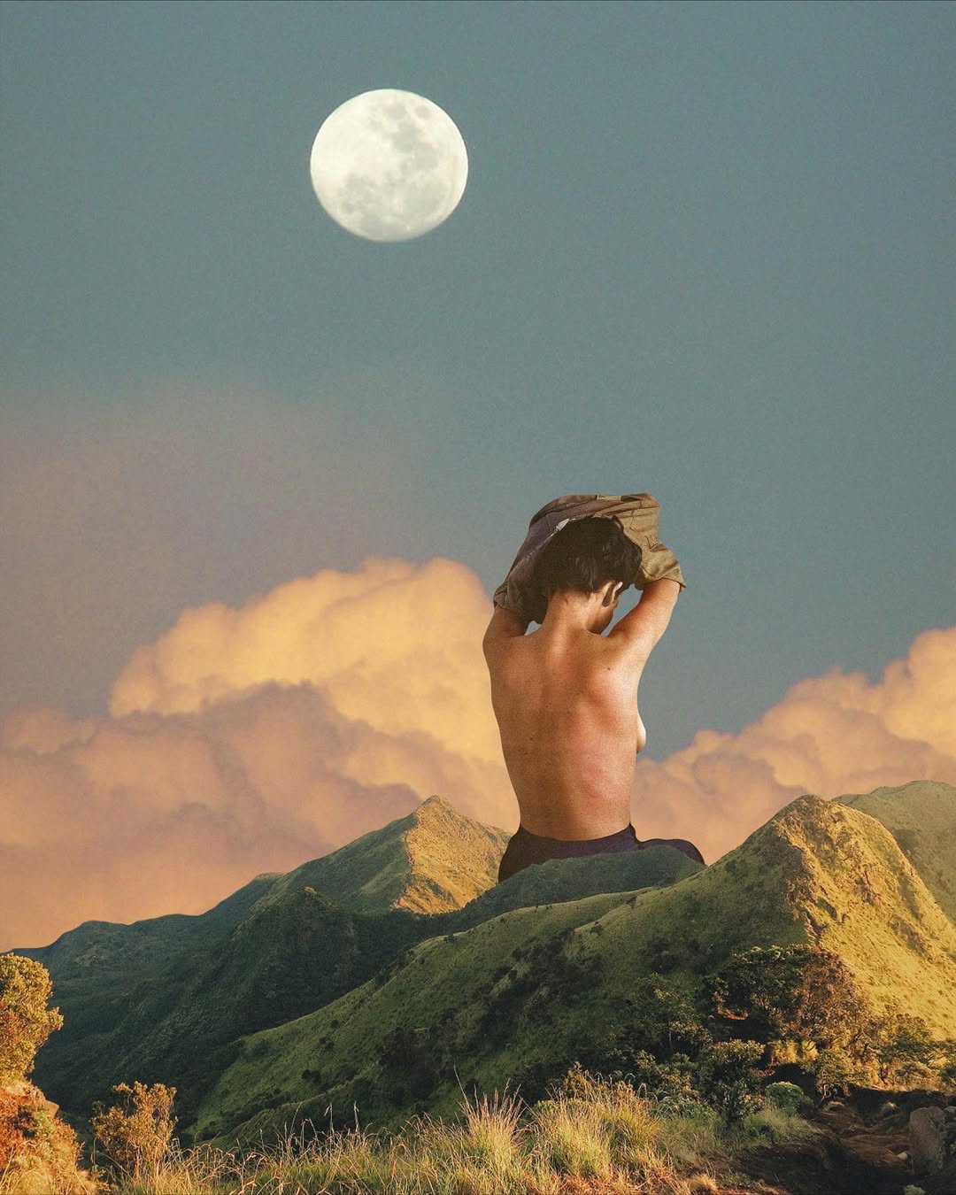  Photo credit @giraffesdoingthings