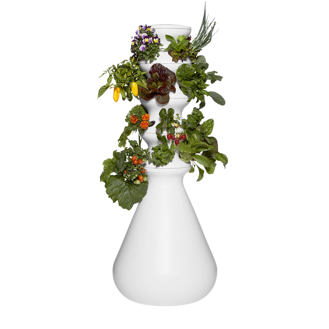 Shop Lettuce Grow